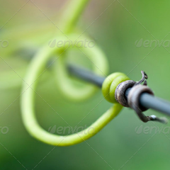 手机攻击器APP下载