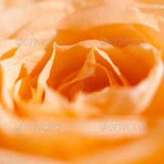 企业版全能的平台在线ddos压力测试