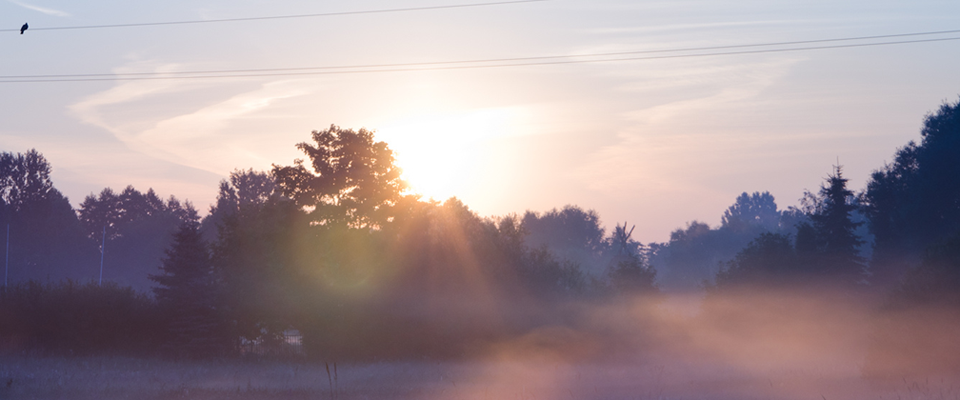免费不要钱的网页DDOS攻击平台